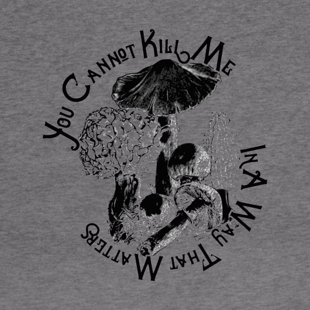 You Cannot Kill Me In A Way That Matters by vanitygames